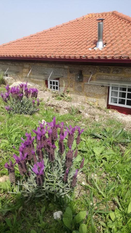 Séjour à la campagne Casa Do Rancho - *